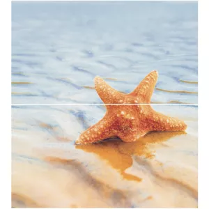 Панно Ceradim Dec Starfish 1 панно из 2-х шт КПН16Starfish1 50х45