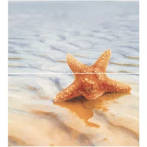 Панно Ceradim Starfish 1 из 2-х шт 50х45